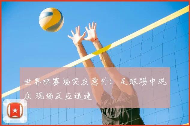 世界杯赛场突发意外:足球踢中观众 现场反应迅速