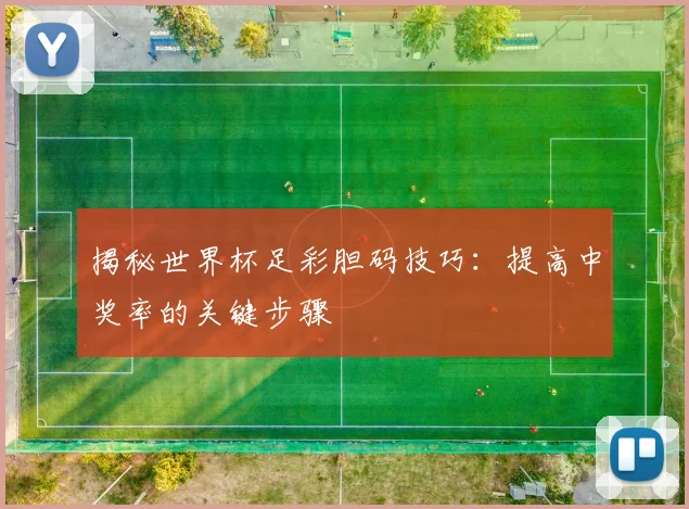 揭秘世界杯足彩胆码技巧：提高中奖率的关键步骤