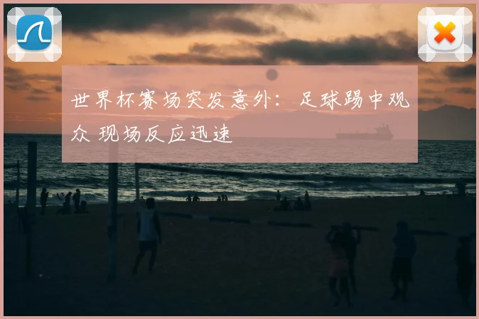 世界杯赛场突发意外:足球踢中观众 现场反应迅速