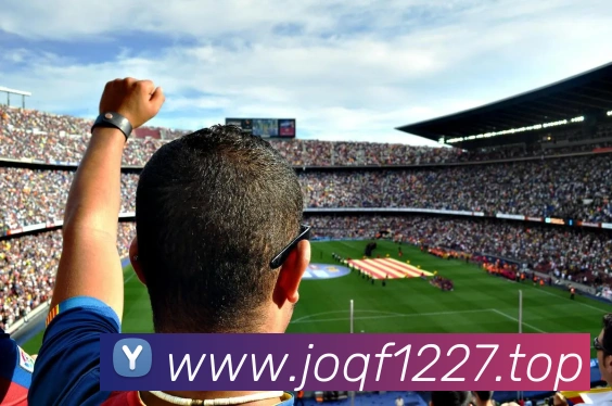 开云官方在线登陆入口APP 封面图